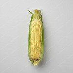 粟米 Corn