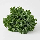羽衣甘藍 kale
