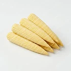 玉米筍 baby-corn