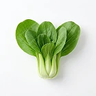 青江菜 baby-bok-choy
