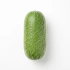 節瓜 fuzzy-melon