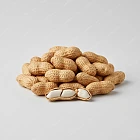 花生 Peanut