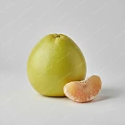 柚子 Pomelo