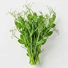 豆苗 pea-shoots