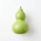 蒲瓜 bottle-gourd