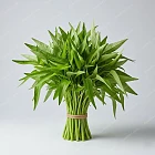 通菜 Water Spinach
