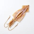 乾魷魚 dried-squid