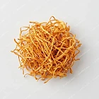 蟲草花 cordyceps-flower