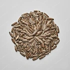 葵花籽 Sunflower seeds