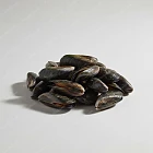 青口 mussel