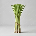香茅 Lemongrass