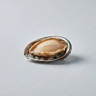 鮮鮑（9孔或澳鮑） fresh abalone
