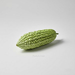 苦瓜 Bitter melon