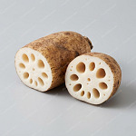 🪷蓮藕(Lotus root) 蓮藕 Lotus root