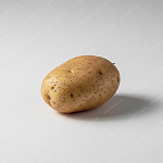 🥔 薯仔(Potato) 薯仔 Potato