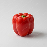 甜椒 (Bell Pepper) 甜椒 Bell Pepper