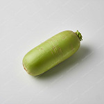 青蘿蔔 (Green Radish) 青蘿蔔 Green Radish