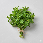薄荷 Mint