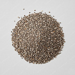 奇亞籽 Chia seeds