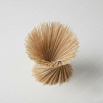 蕎麥麵 Buckwheat noodles