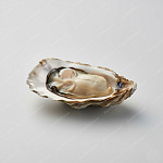熟蠔 cooked oyster