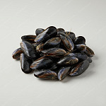 黑青口 black mussel